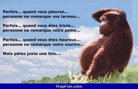 humour